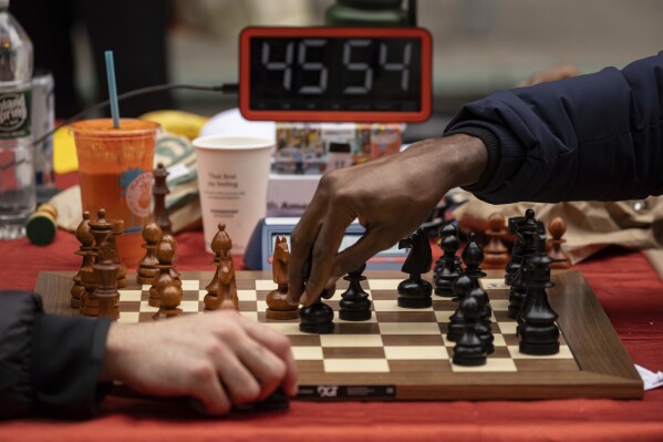African mall champion set cheap